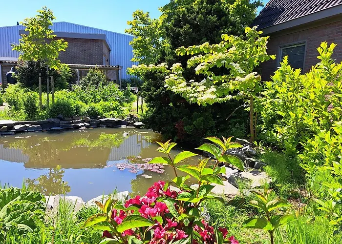bijzondere studio op unieke, rustige locatie