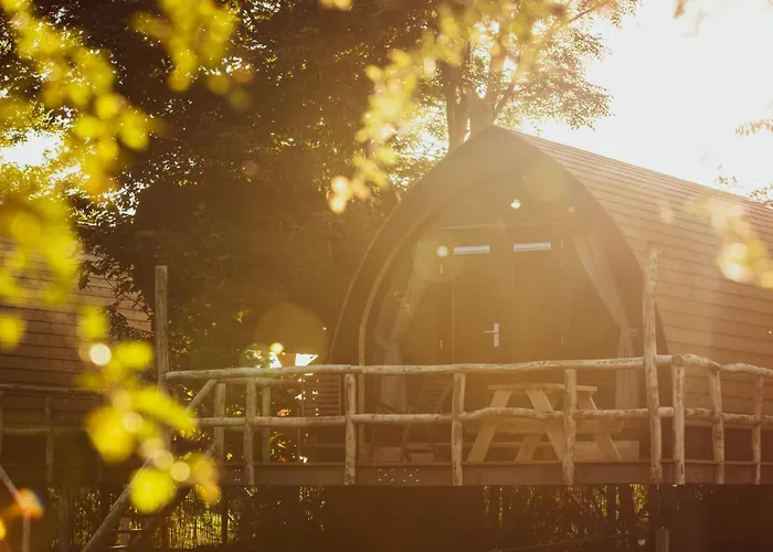 Boomhuis met optioneel wellness - Vakantiepark de Schreiershoek